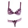 Lingerie Bra F6101